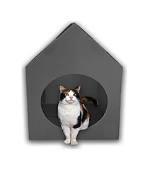 Kedi köpek evi kulübesi yuvası