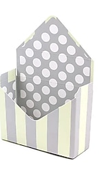 Vintage Puantiyeli Çiçek Kutusu