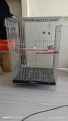 büyük papağan kafesi