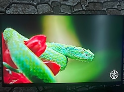 DELL alienware aw2724dm 27 inç 180hz 1ms 2k Oyuncu monitörü