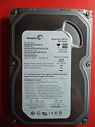 Seagate 250 GB 3.5” SATA Hard Disk (Sağlık 100 , İkinci El)