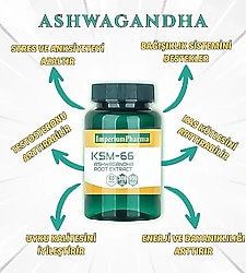 KSM-66 ASHWAGANDHA 60 Kapsül İTHAL ( sıfır ürün )