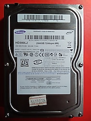 Samsung 300 GB 3.5” SATA Hard Disk (Sağlık 100 , 7200RPM ile hızlı , Sorunsuz, İkinci El)