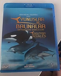 yunuslar ve balinalar bluray belgesel