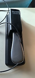 sustain pedal