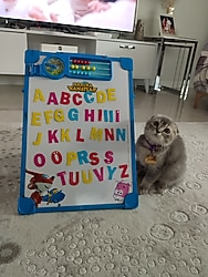 harika kanatlar abaküslü yazı tahtası