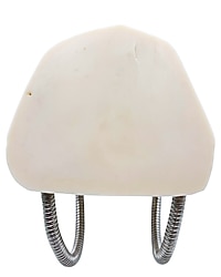 Temel Diş Fırçalama ve Bakım Modeli