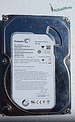 Bad Sektörlü Seagate ST3250318AS 250 GB 