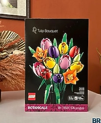 LEGO Botanicals Lale Buketi 11501