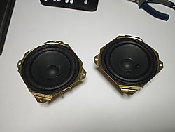 Philips 20 watt 12 ohm Hopalör