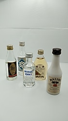 ŞİŞE,MİNYATÜR KOLEKSİYONLUK ŞİŞELER 543