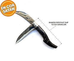 TOSYA ÇAKISI MANDA BOYNUZ SAP 12.CM