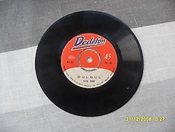 kuş sesi – bülbül – kanarya