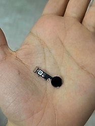 İPhone 7 Plus Orta Tuş Home