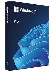 Windows 11 Pro 64 Bit Kutulu HAV-00209 İşletim Sistemi