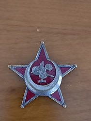 OSMANLI SUBAY HARP MADALYASI