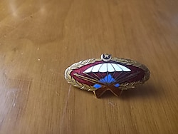 TSK SUBAY PARAŞÜTCÜ BROVESİ