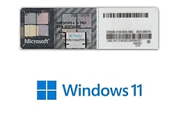 Windows 11 Professional Etiket Lisans FQC-10528