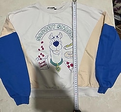 LCW casual kadın sweat ürün kullanılmadı