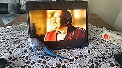 Apple Ipad Pro 5.nesil 512 gb 12.9 inç listede 5. nesil yoktu