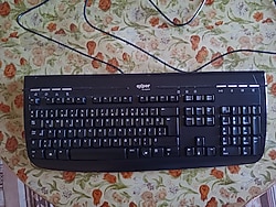 Exper / Logitech İnternet 350 PS/2 Klavye