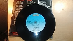 timur selçuk orkestra ve korosu – dönek türküsü - özgürlük