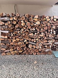 KURI SONALIK KAYISI ODUNU