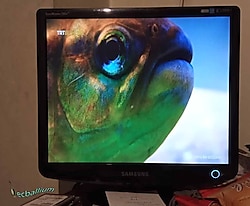 Samsung 732N 17 inç LCD Monitör  