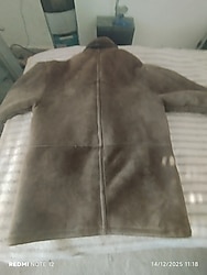 shearding sued kuzu derisi kaban