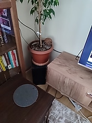 Temiz hiç bir sorunu yok