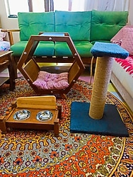 AHŞAP KEDİ EVİ-MAMALIK-TIRMALAMA TAHTASI