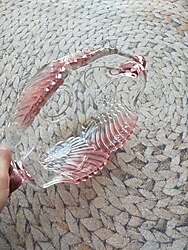 desenli büyük boy kase